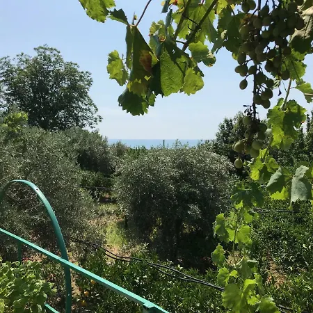 Arancetodamare_poseidone * Trebisacce